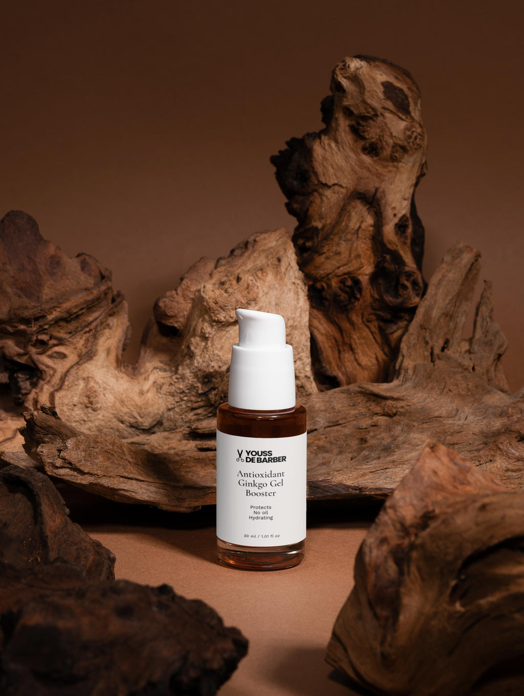 Antioxidant Ginkgo Gel Booster